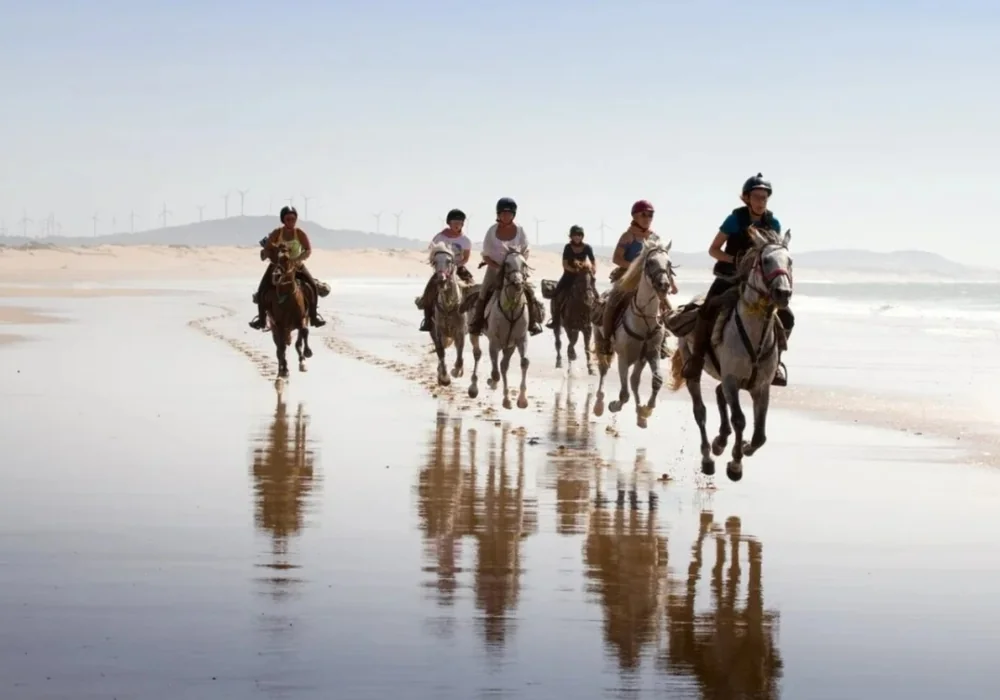 Horse riding